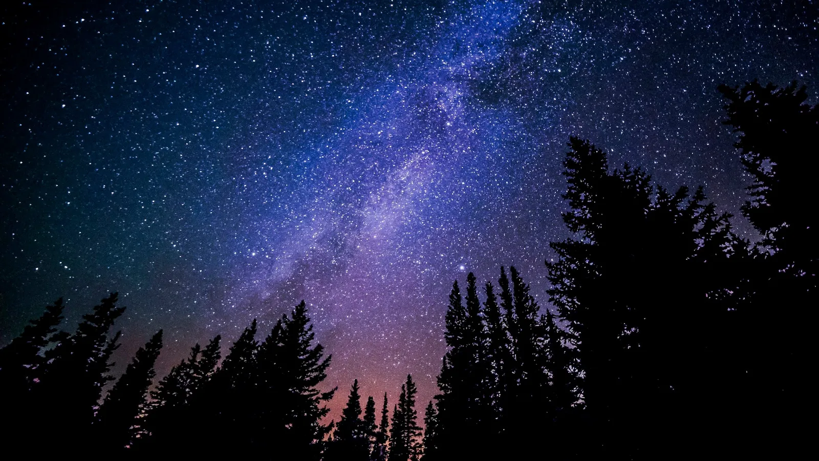Milky Way above a forest at night