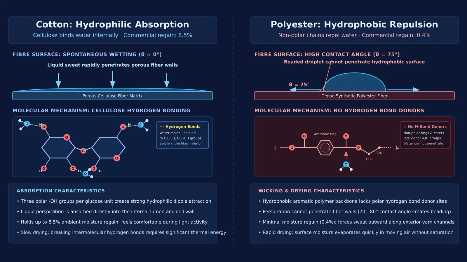 Molecular diagram comparing cotton cellulose hydrogen bonding to polyester hydrophobic contact angle beading
