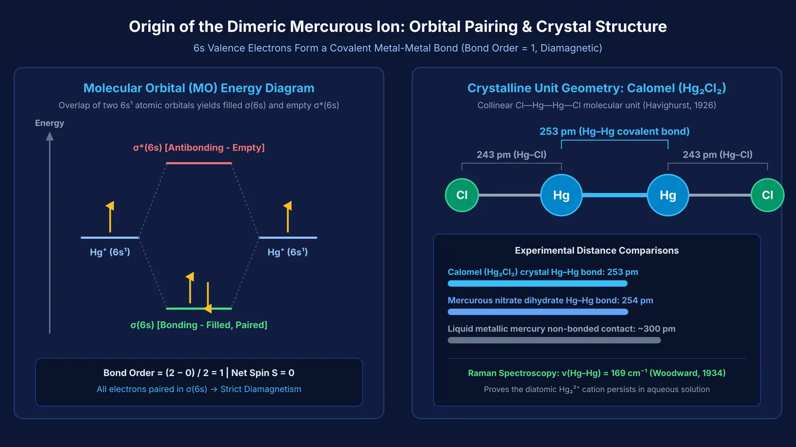 Molecular orbital pairing diagram and crystallographic linear structure of dimeric mercurous ion