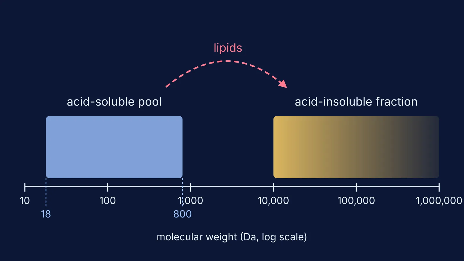 Molecular weight scale showing acid-soluble and acid-insoluble ranges, with lipids crossing over