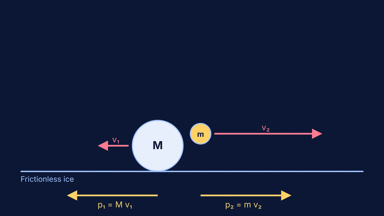 Momentum vectors of a man and a ball