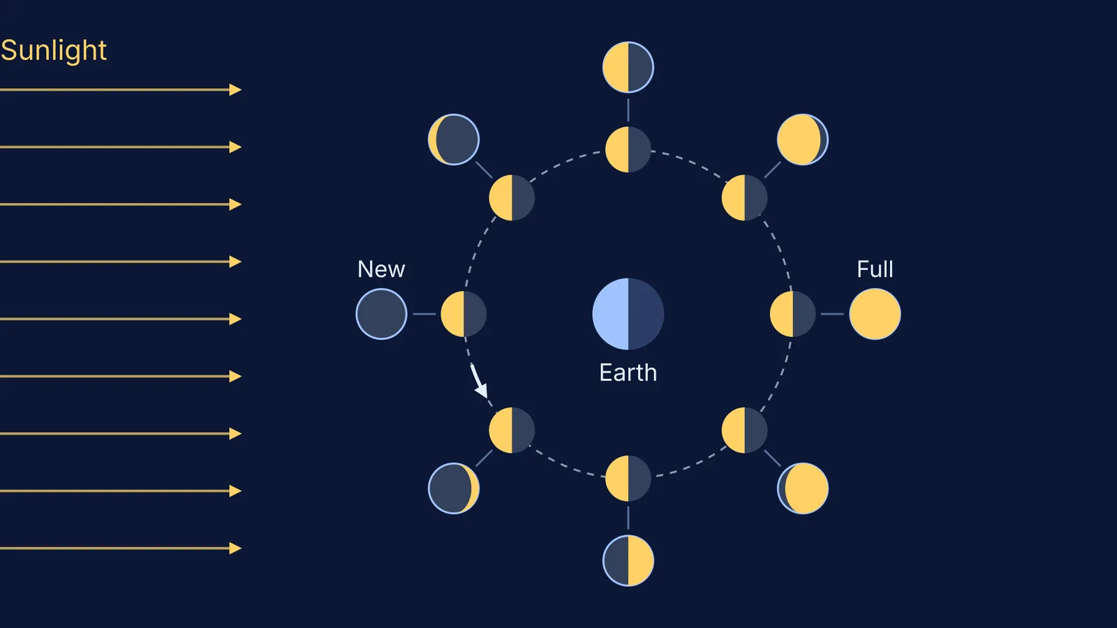Moon at eight orbit positions, always half-lit, with the phase seen from Earth
