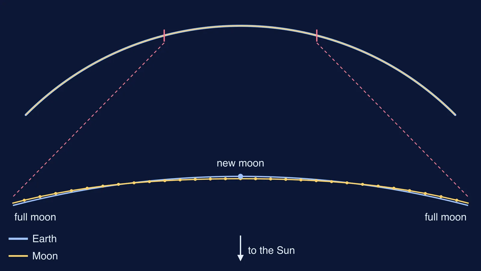 Moon's path around the Sun weaving gently across Earth's orbit without loops