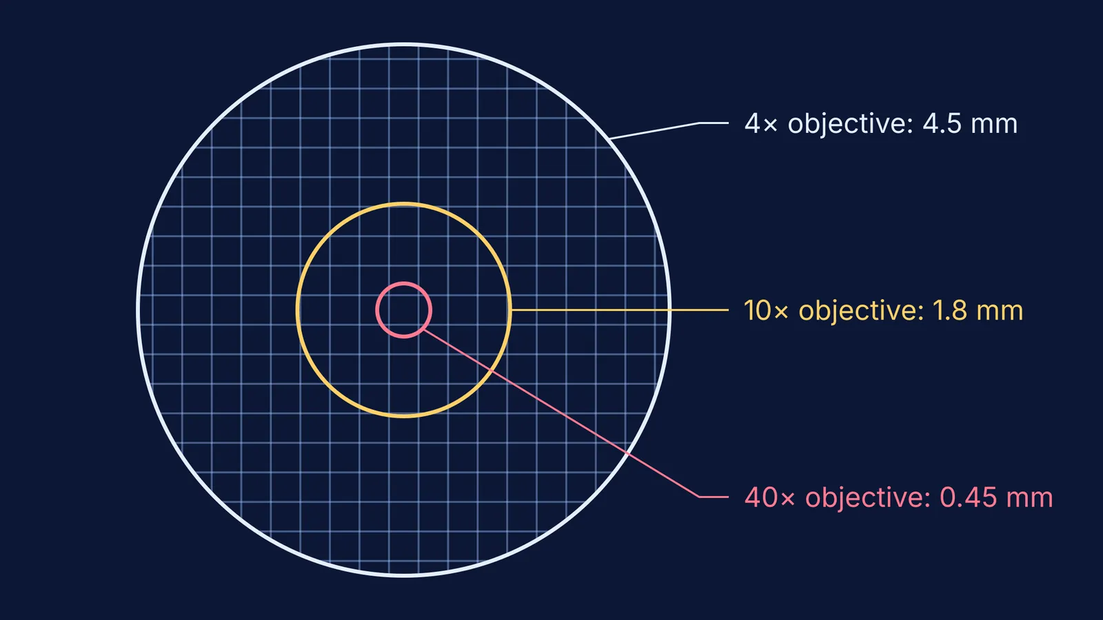 Nested circles showing microscope field of view shrinking at 4×, 10× and 40×