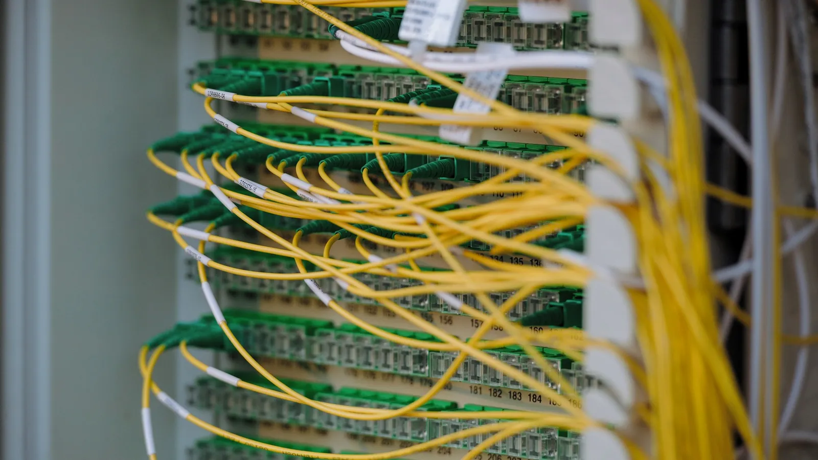 Network cables patched into a server rack