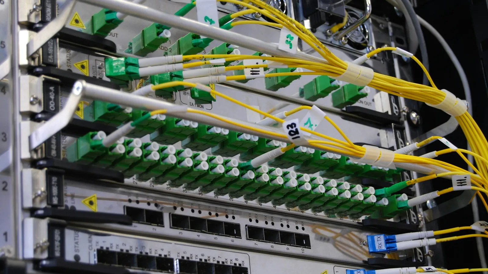Network cables plugged into rows of server ports