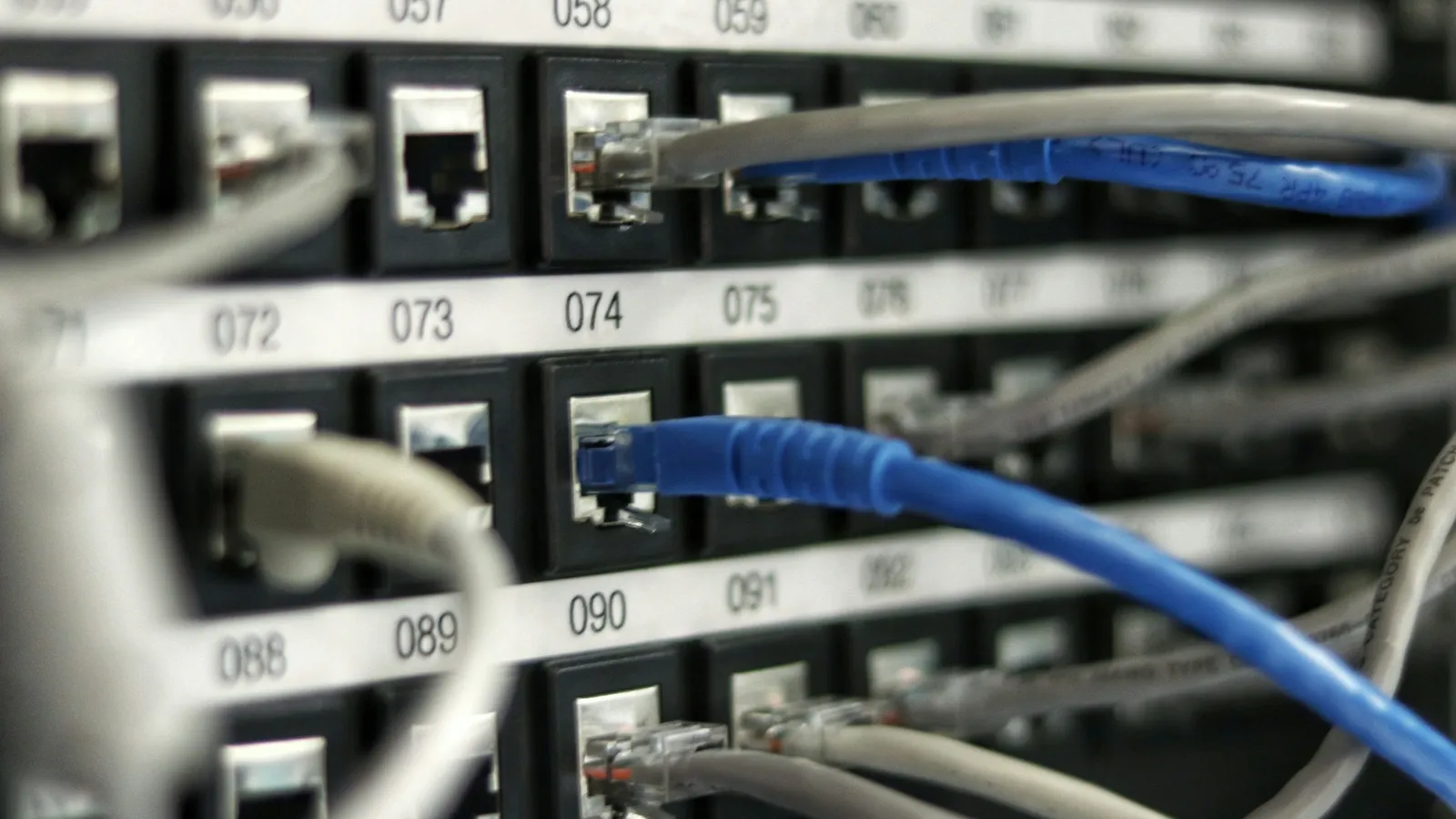 Network cables plugged into the ports of a switch