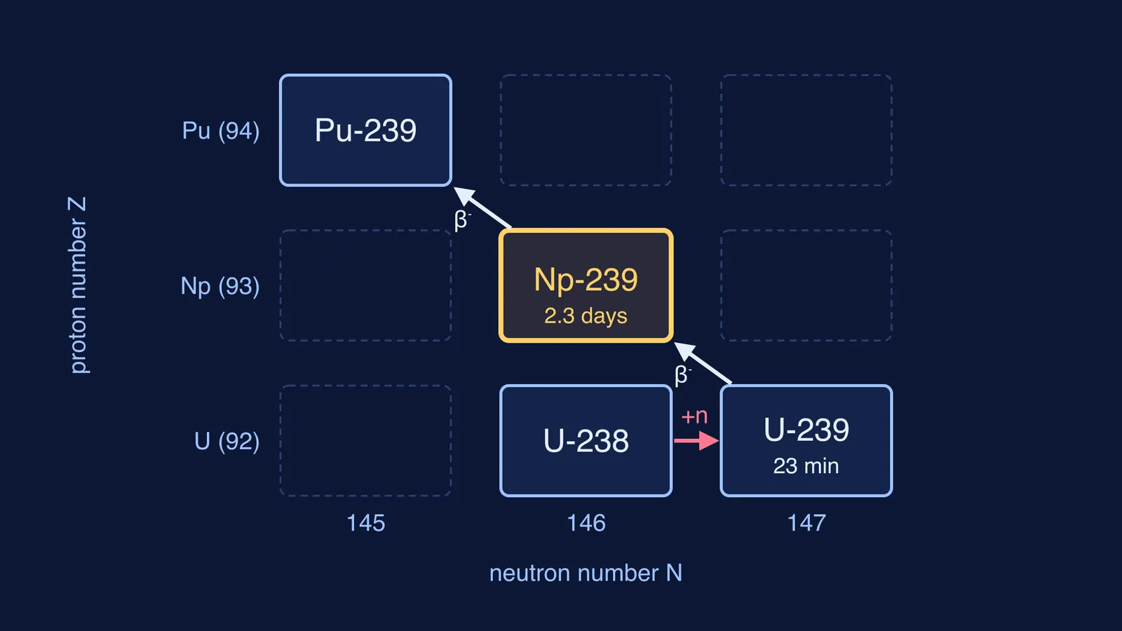 Nuclide chart showing uranium-238 capturing a neutron and beta-decaying into neptunium-239