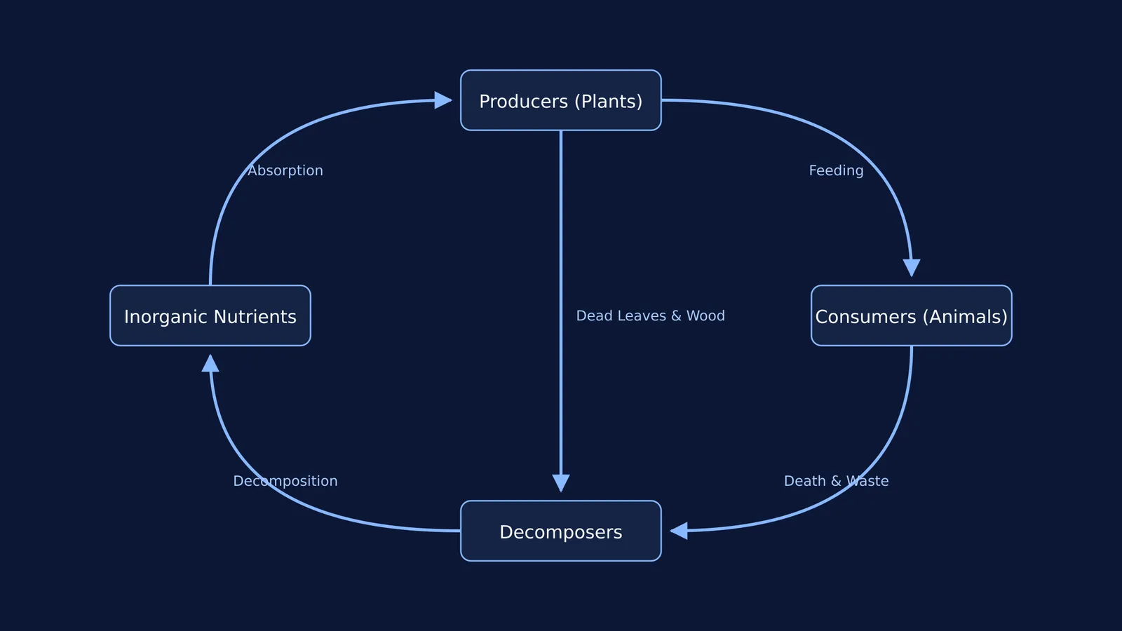 Nutrient cycle diagram showing decomposers recycling dead matter