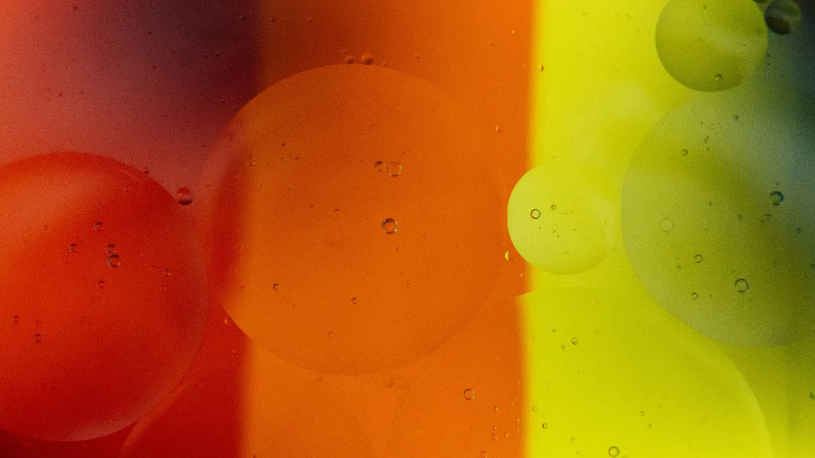 Oil droplets floating on coloured water