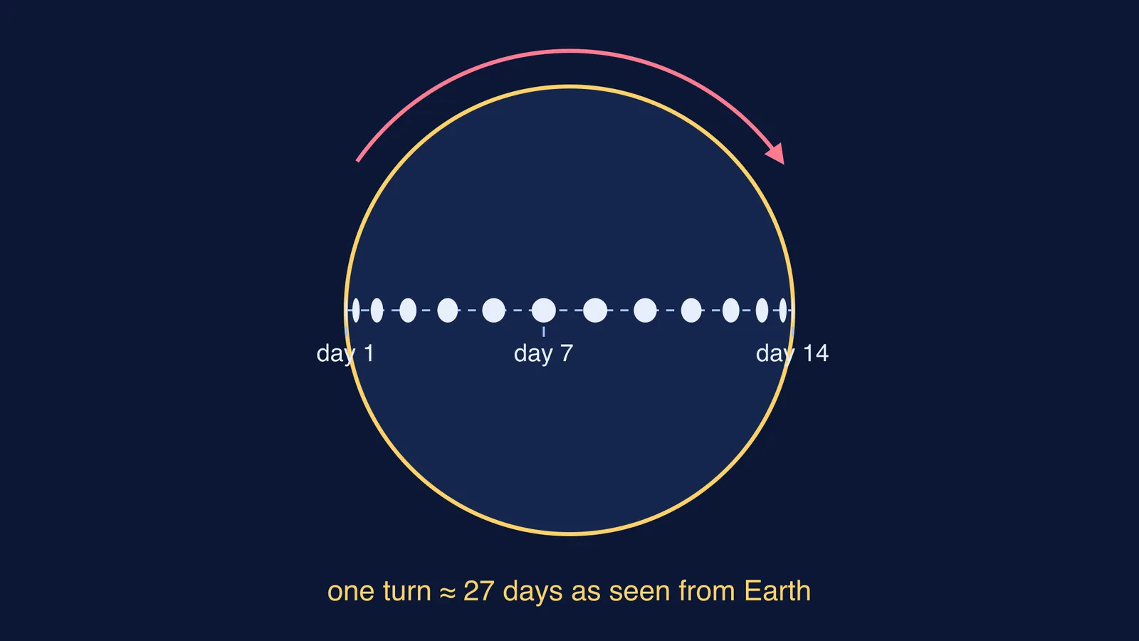 One sunspot's daily positions crossing the Sun, squeezed and bunched near the edges