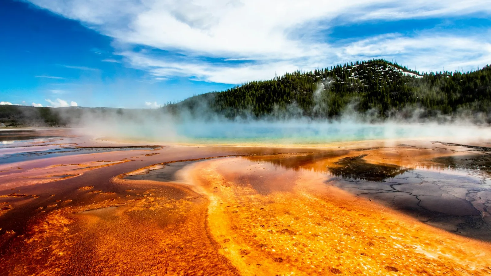 Orange bacterial mats around a steaming hot spring