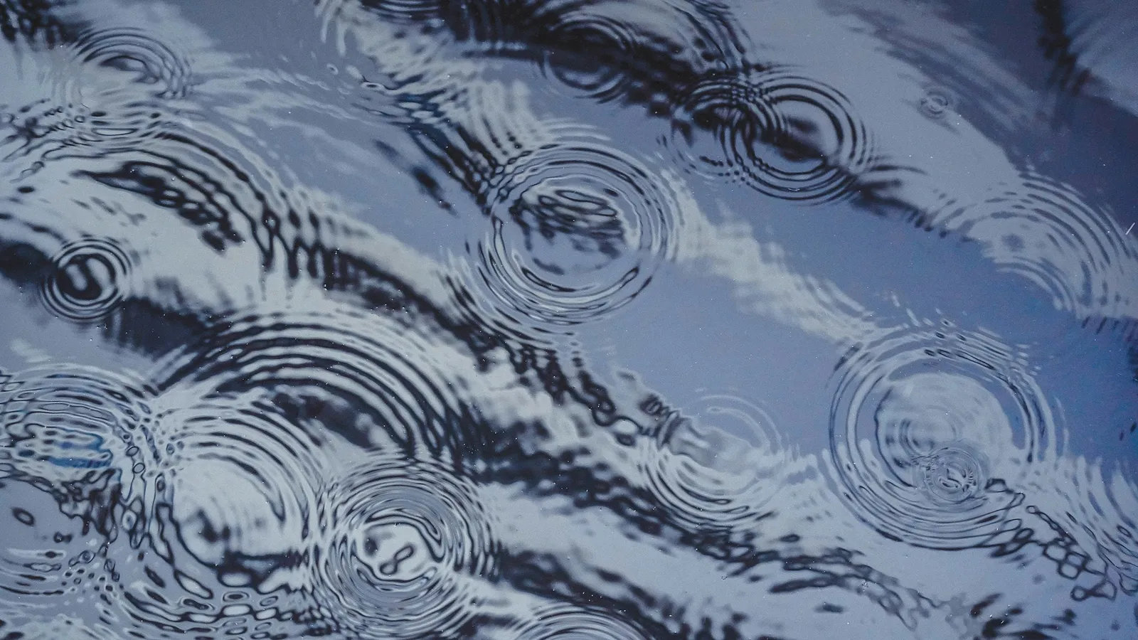 Overlapping ripples spreading across water