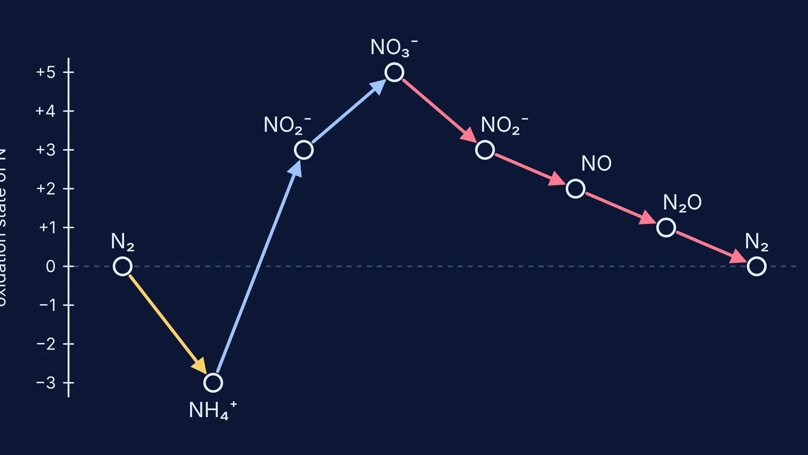 Oxidation state of one nitrogen atom through fixation, nitrification and denitrification