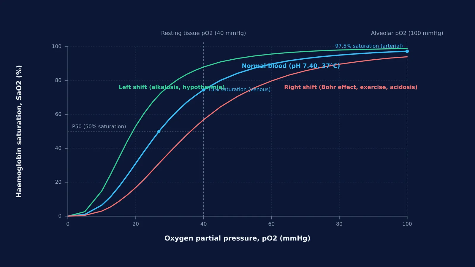 Oxygen-haemoglobin dissociation curve plotted against partial pressure with left and right physiological shifts