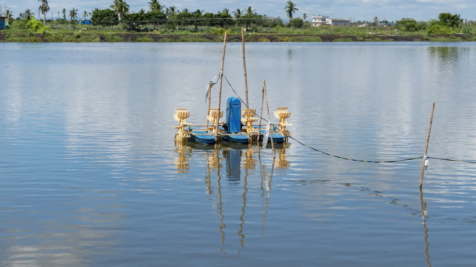 Paddlewheel aerator floating on an aquaculture pond near Eluru, Andhra Pradesh