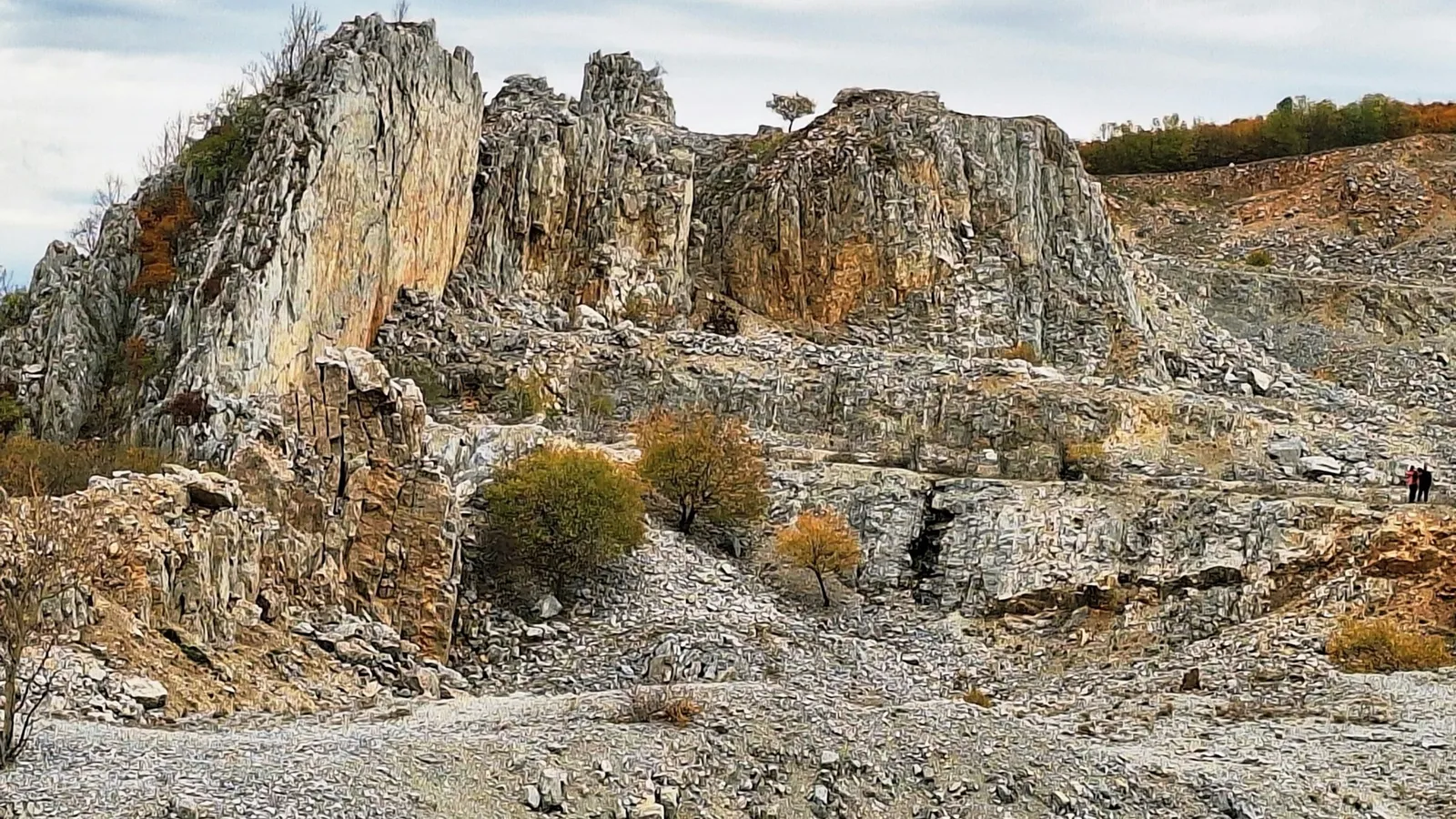 Pale limestone rock at the edge of a quarry
