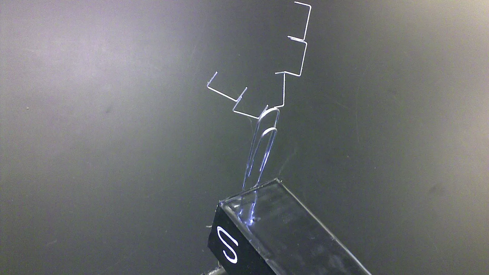 Paper clip and staples standing in a chain on the S pole of a magnet