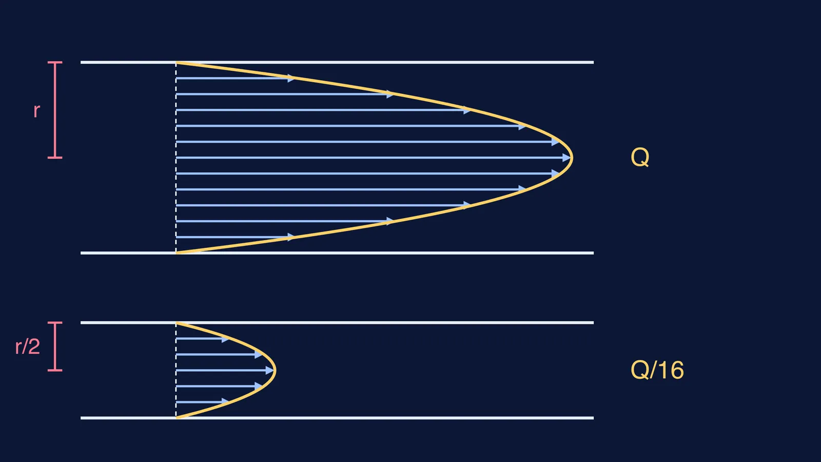 Parabolic velocity profiles in a wide tube and a half-radius tube