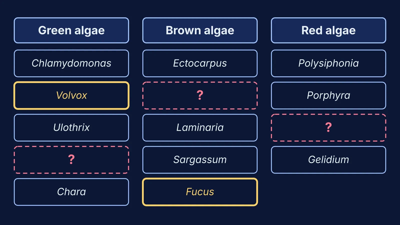 Partly blank table of green, brown and red algae examples for self-testing