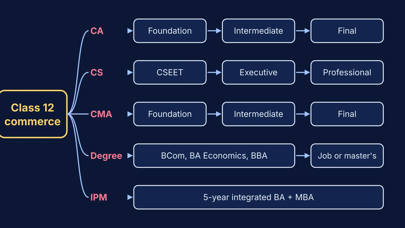 Pathway map from Class 12 commerce to CA, CS, CMA, degrees and IPM