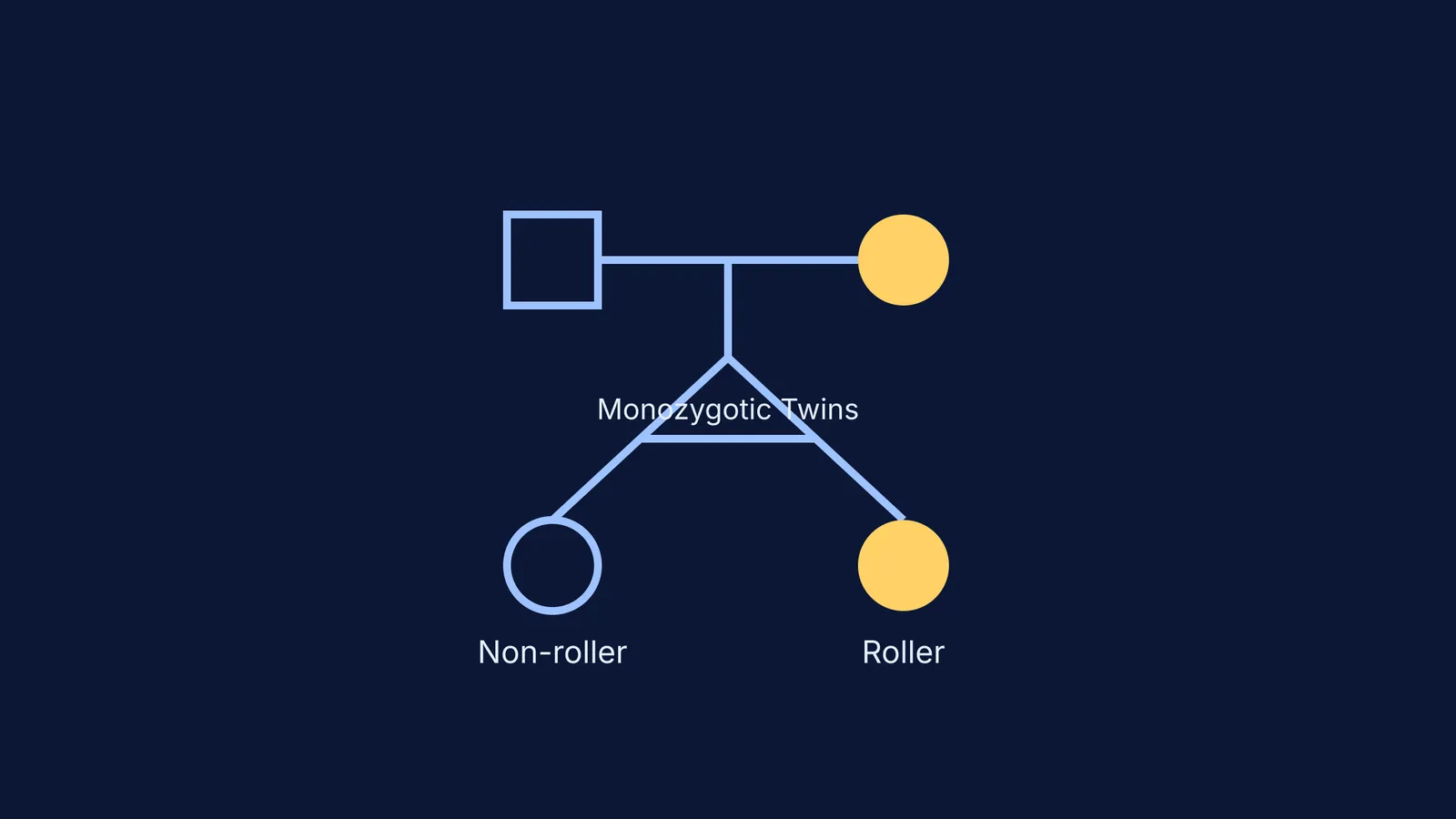 Pedigree chart showing identical twins discordant for tongue rolling