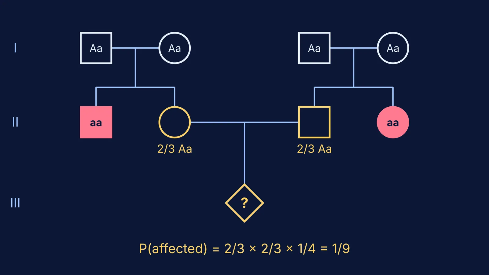 Pedigree of two families joined by marriage, with the child's 1/9 risk