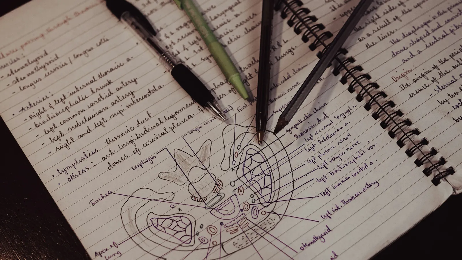 Pens resting on a notebook page with hand-drawn diagrams