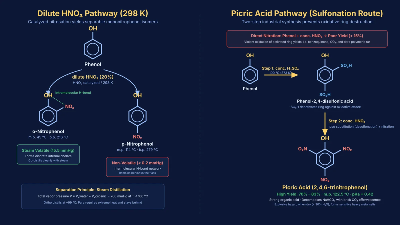 Phenol nitration pathways showing steam-volatile nitrophenols and sulfonation route to picric acid