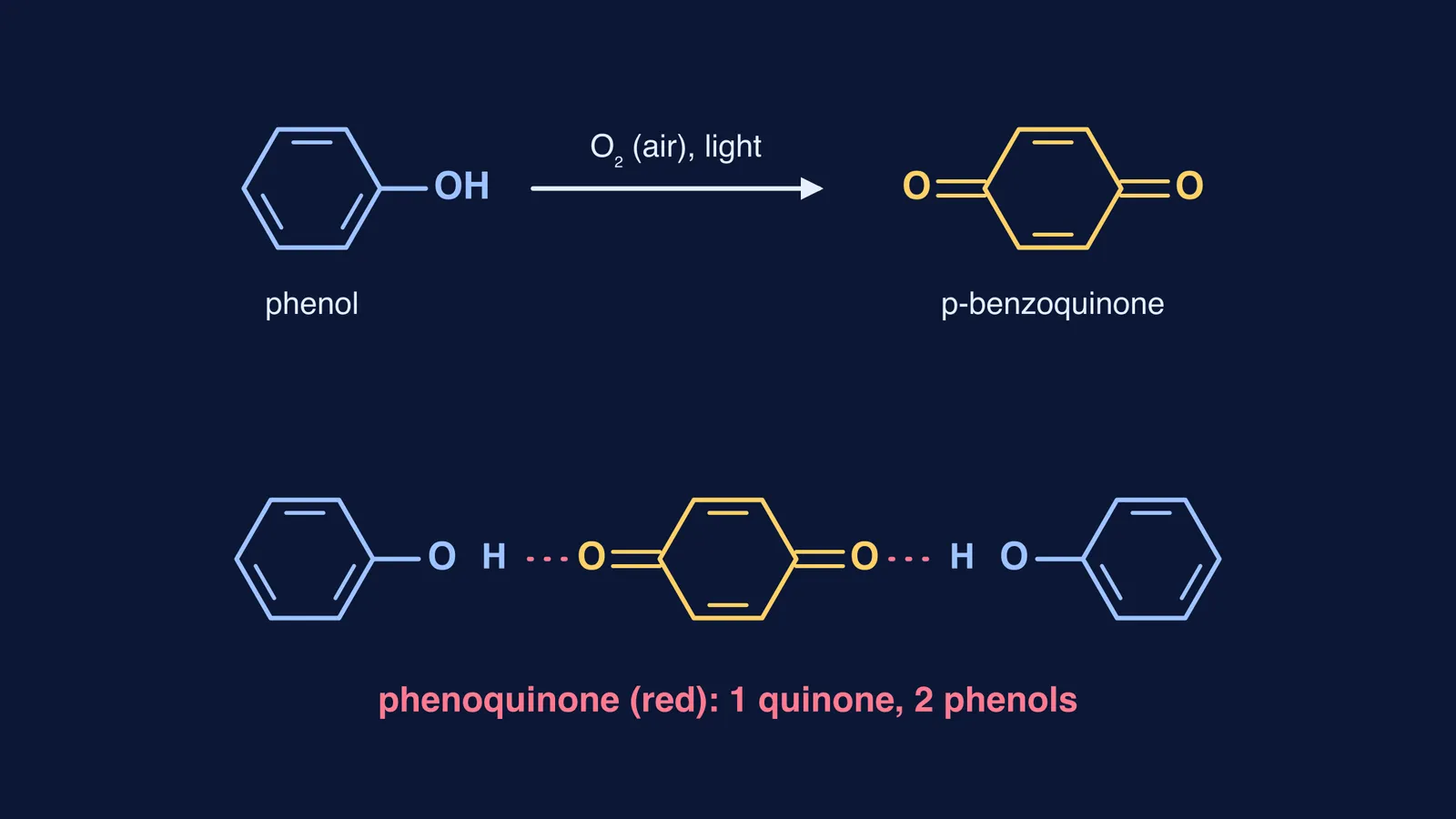 Phenol oxidising to p-benzoquinone, which hydrogen-bonds to two phenols as phenoquinone