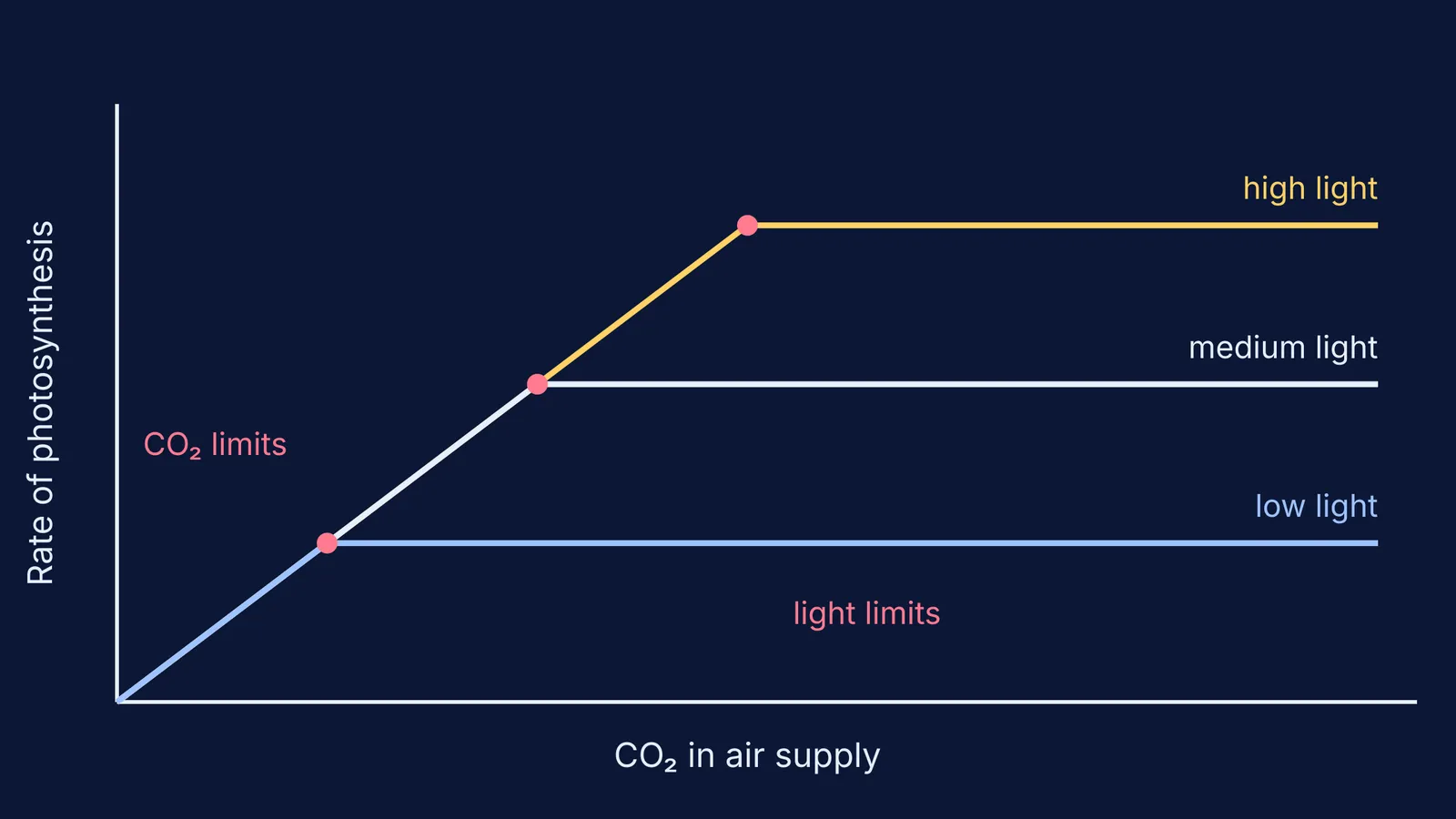 Photosynthesis rate rising with CO₂, then flattening at three light-dependent plateaus