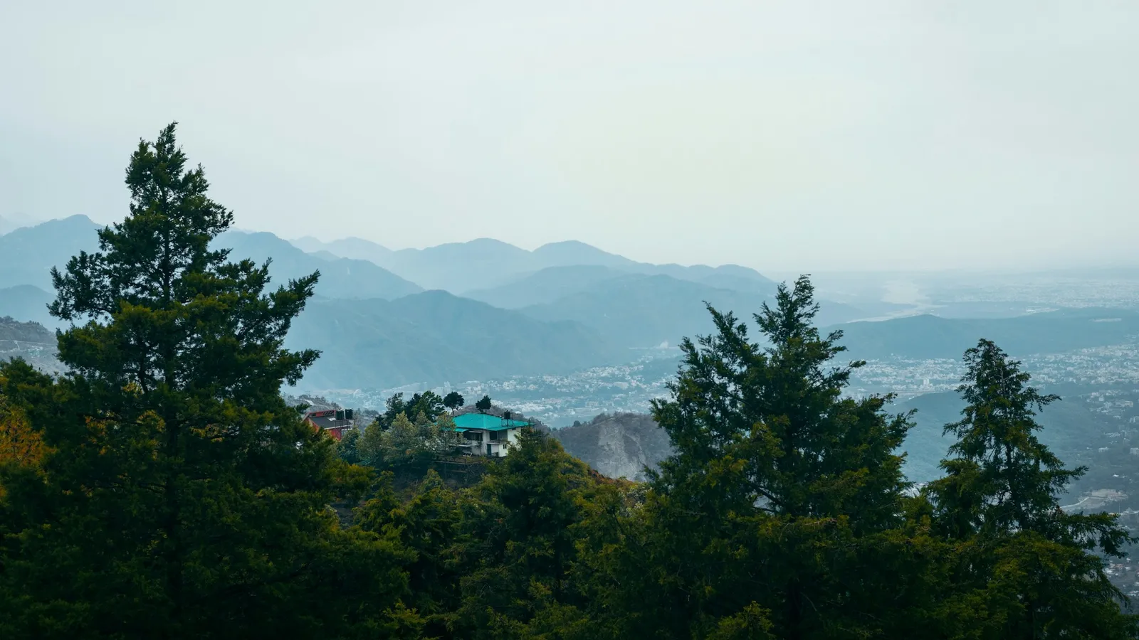 Pine trees on a forested Himalayan ridge above a valley