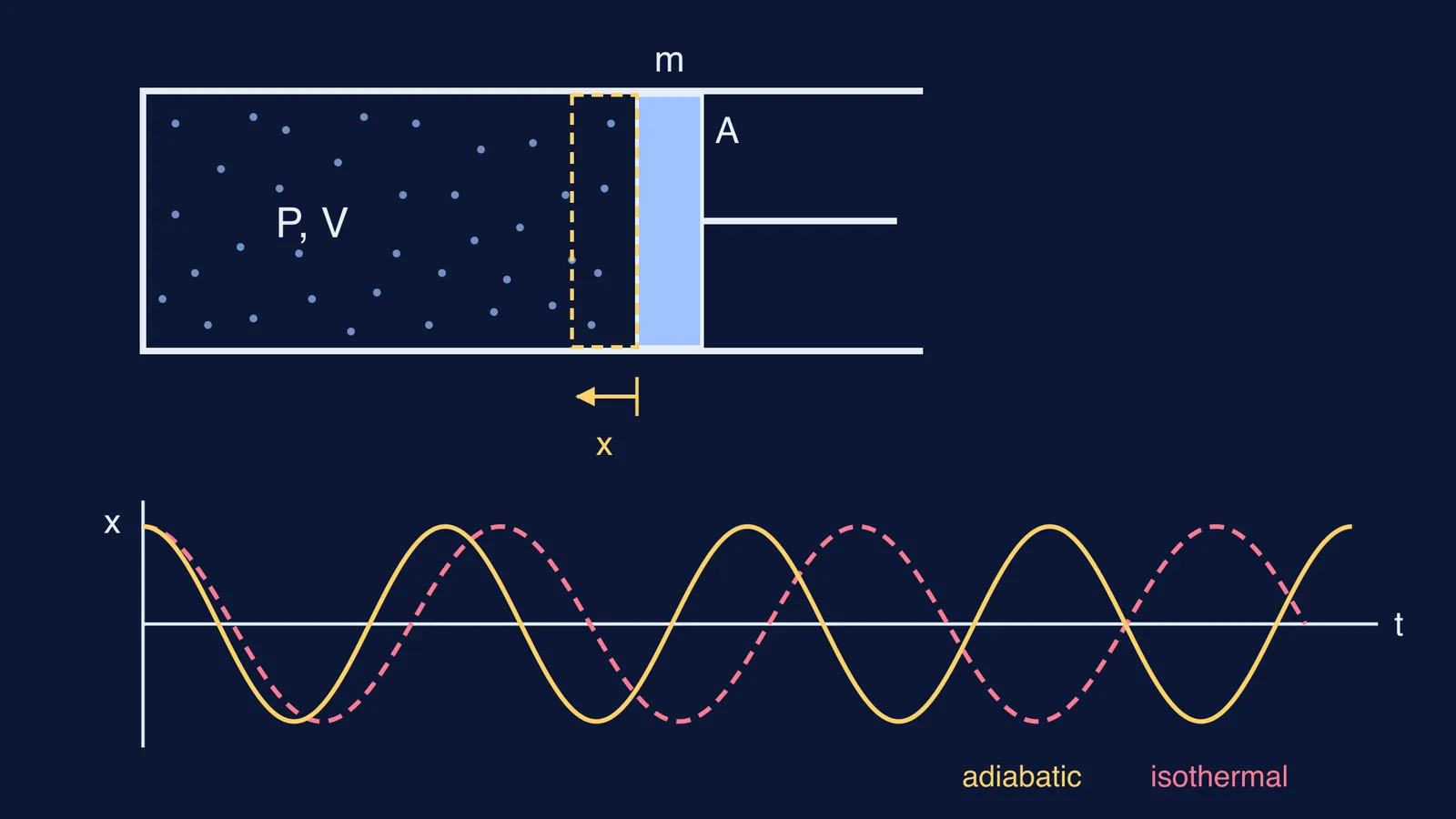 Piston pushed into trapped gas, with adiabatic and isothermal oscillation curves