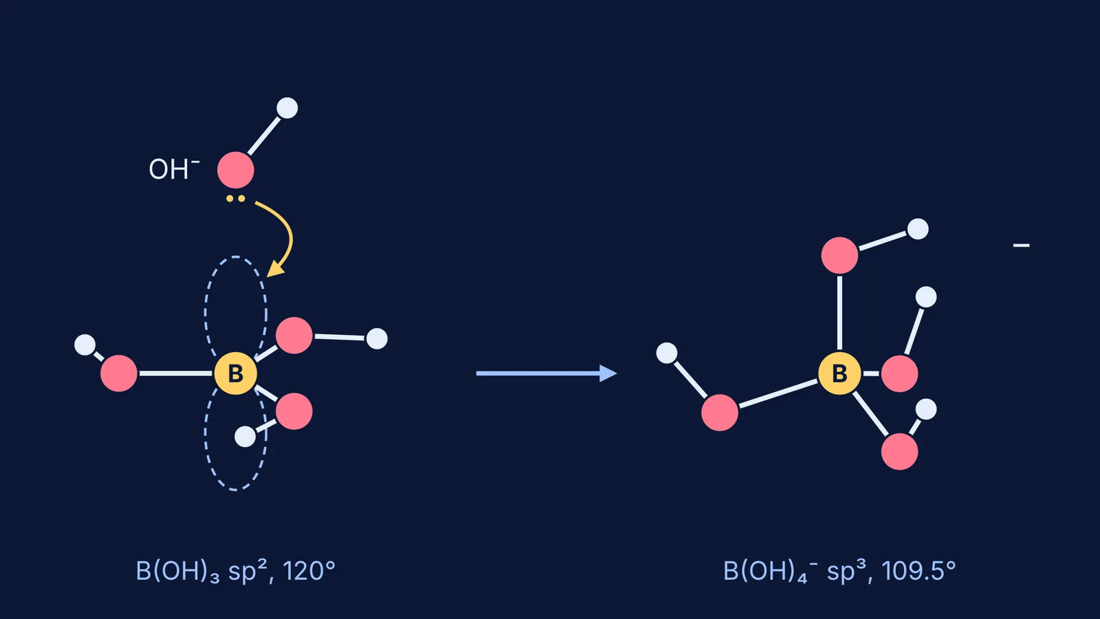 Planar boric acid accepting a hydroxide ion to form tetrahedral borate