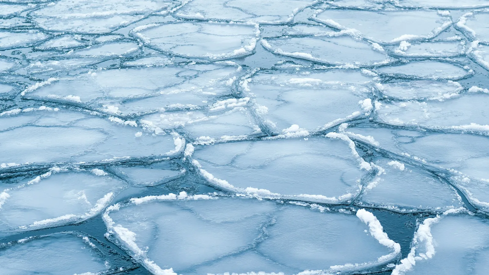 Plates of ice breaking apart on cold water