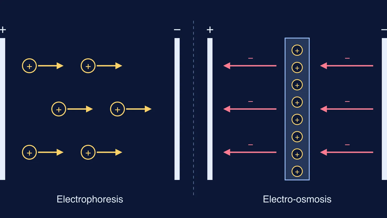 Positive sol particles drift to the cathode; trapped particles make liquid flow to anode