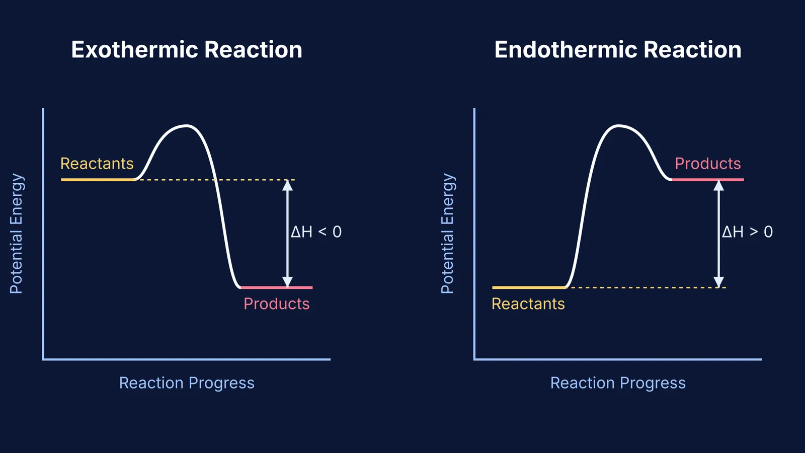 Potential energy diagrams for exothermic and endothermic reactions