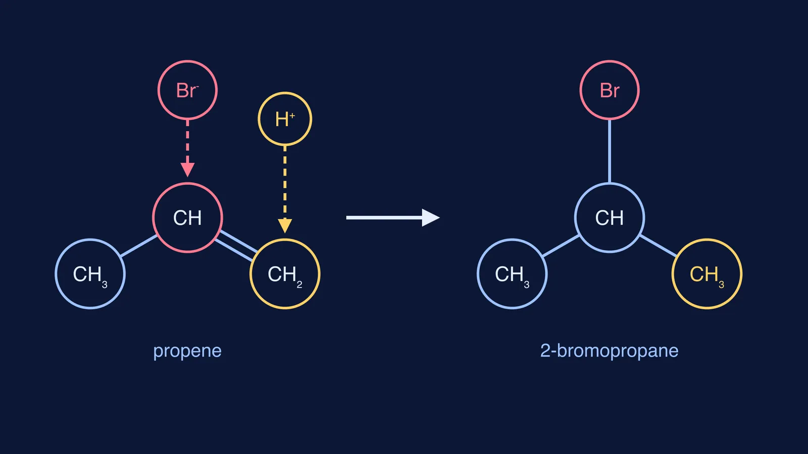 Propene and HBr: hydrogen adds to CH2 end, bromine to middle carbon