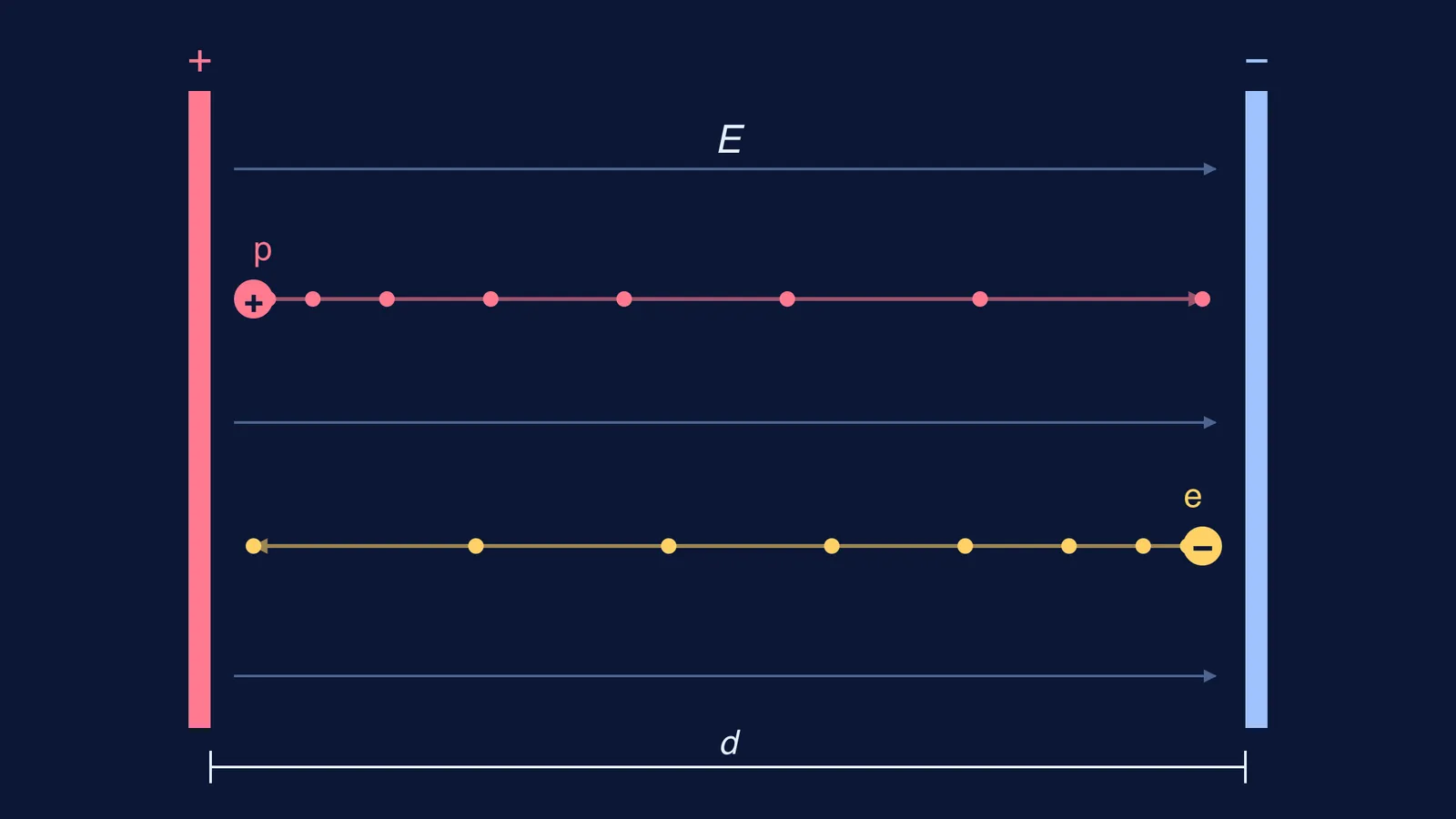 Proton and electron accelerating in opposite directions between charged parallel plates