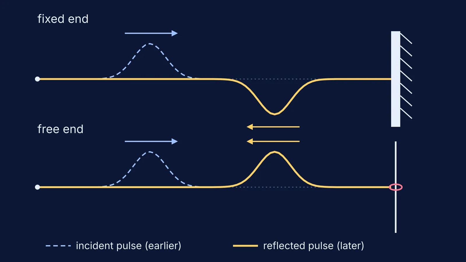 Pulse on a string reflecting inverted at a fixed wall, upright at a free ring