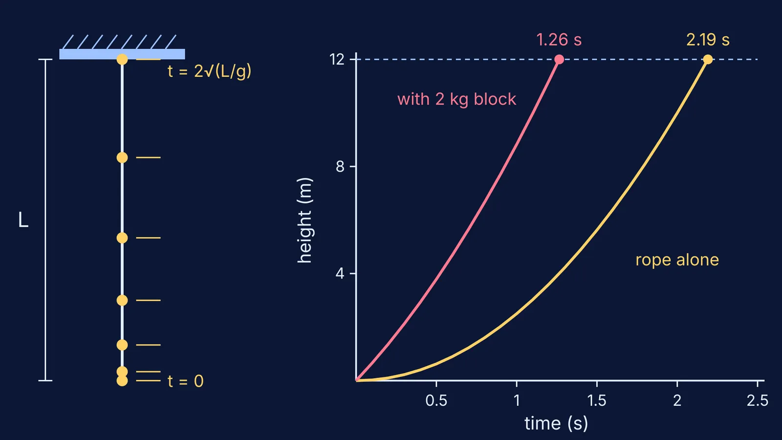 Pulse positions on a hanging rope and height-time curves with and without block