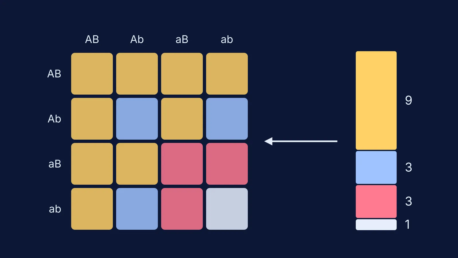 Punnett square for an AaBb cross coloured into 9:3:3:1 phenotype classes