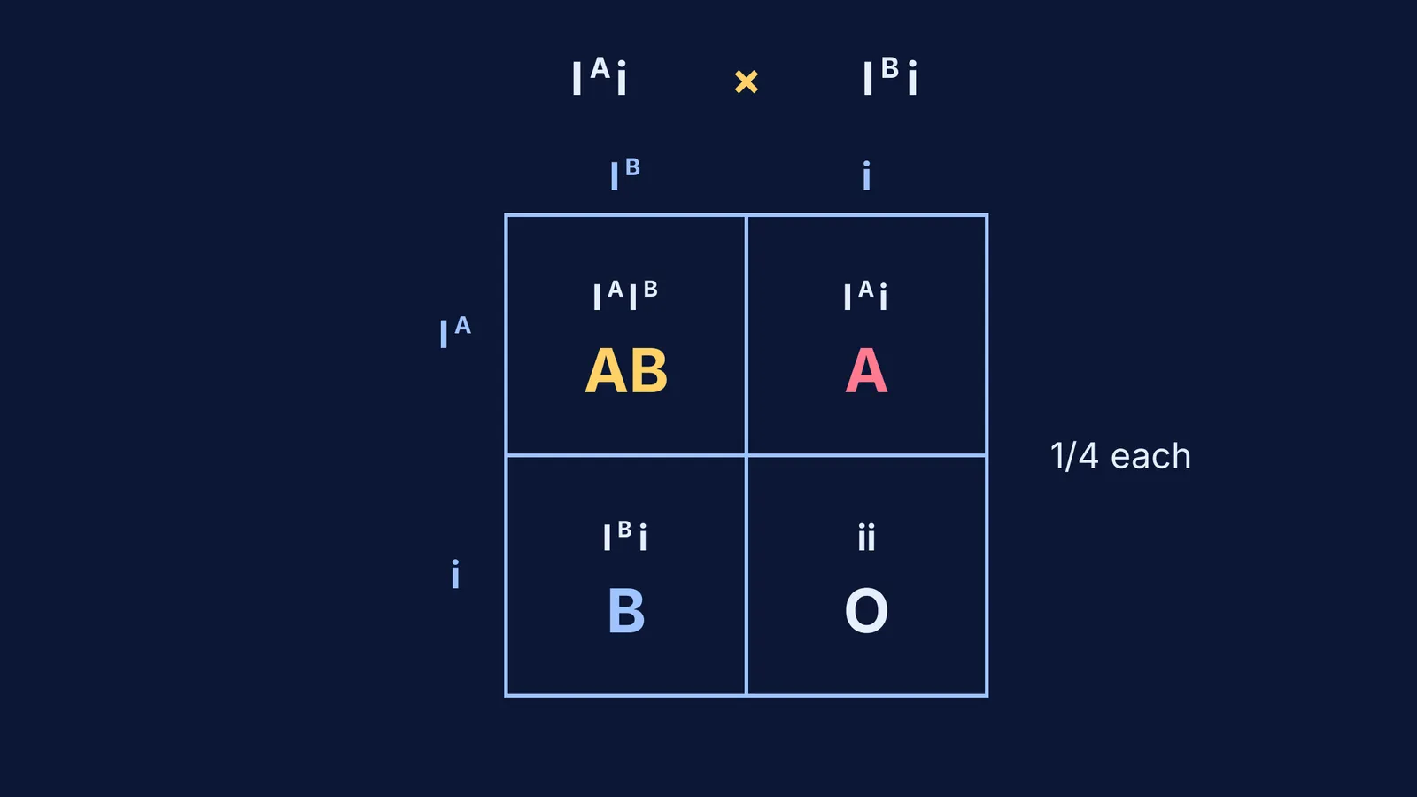 Punnett square of IAi x IBi giving blood groups AB, A, B and O