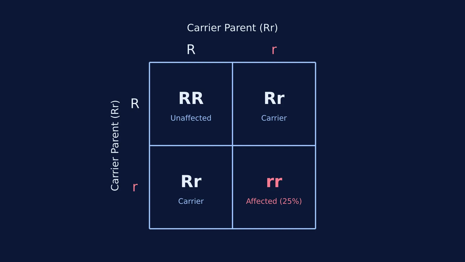 Punnett square showing 25 percent probability of recessive trait