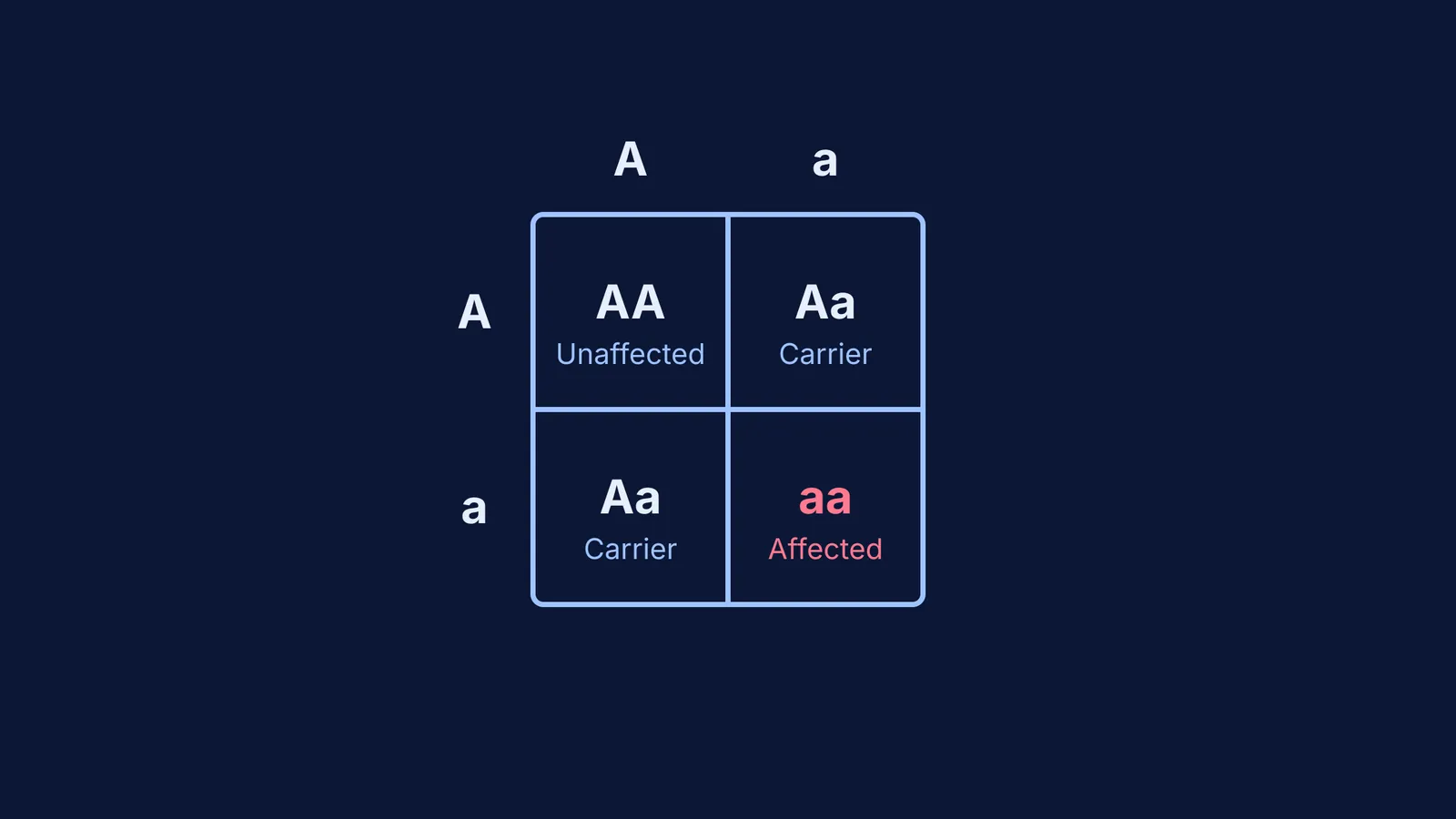 Punnett square showing autosomal recessive inheritance
