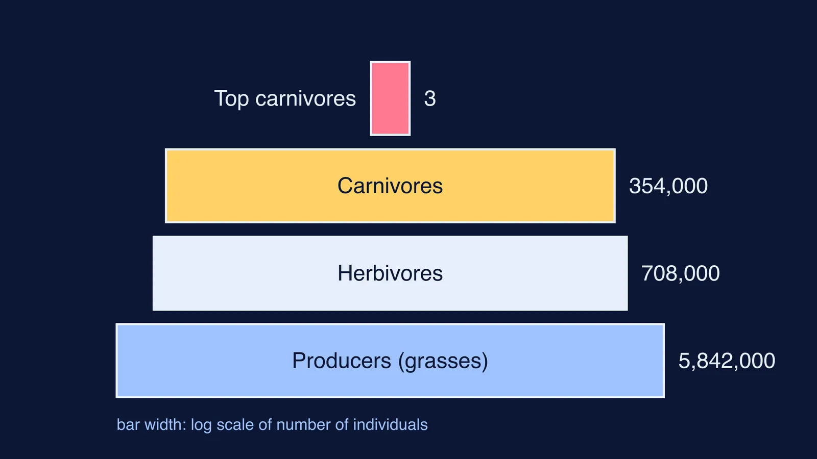 Pyramid of numbers for a grassland, from millions of grasses to three top carnivores