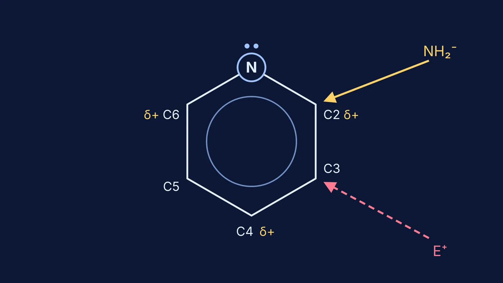 Pyridine ring with NH2- attacking C2 and an electrophile attacking C3