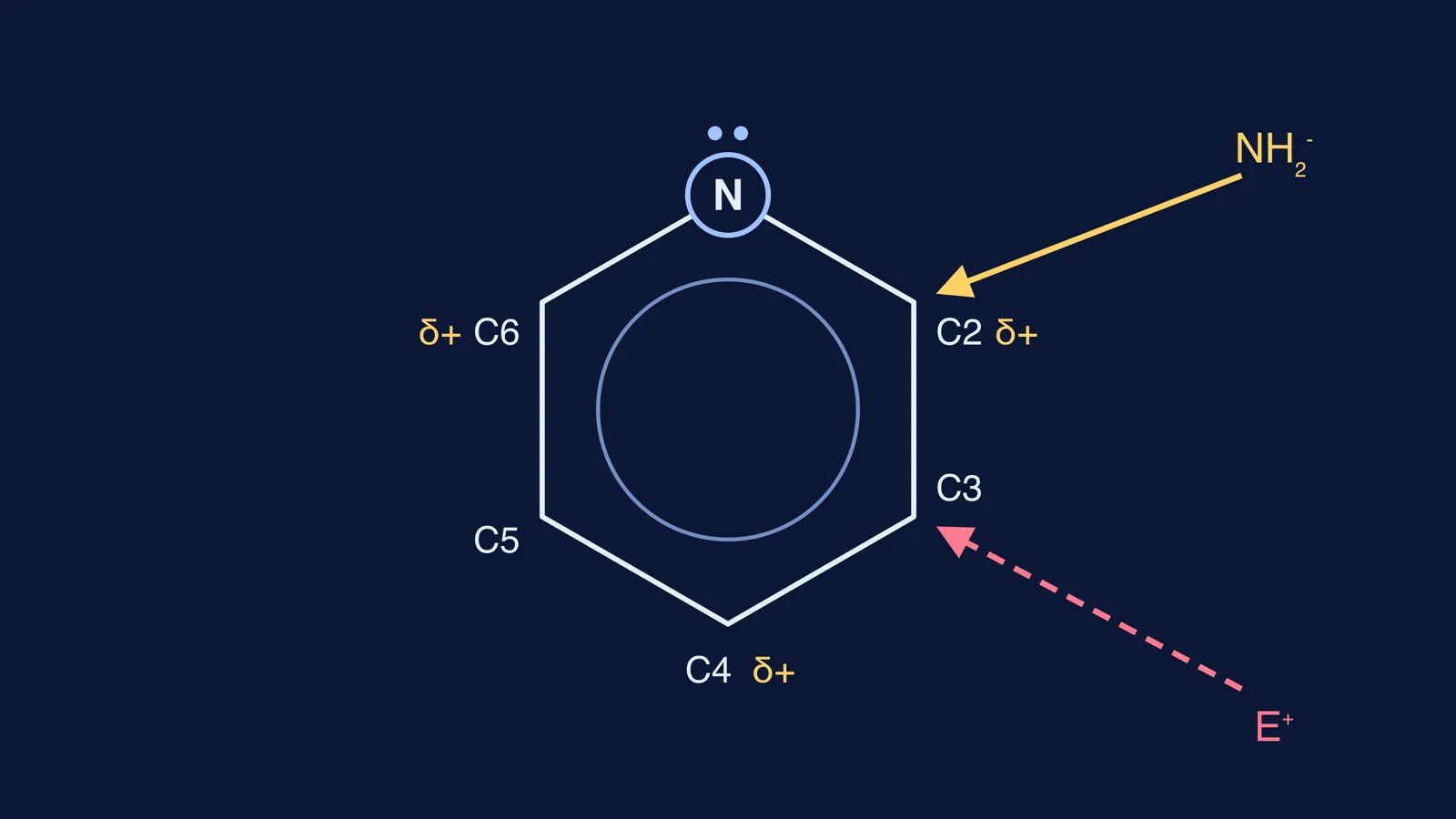 Pyridine ring with NH2- attacking C2 and an electrophile attacking C3