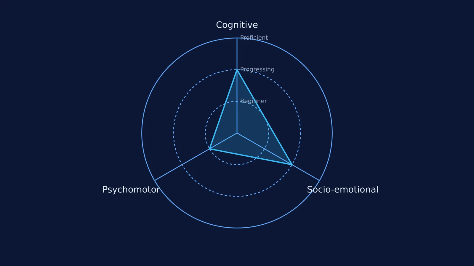 Radar chart showing a student's progress across cognitive, socio-emotional and psychomotor domains
