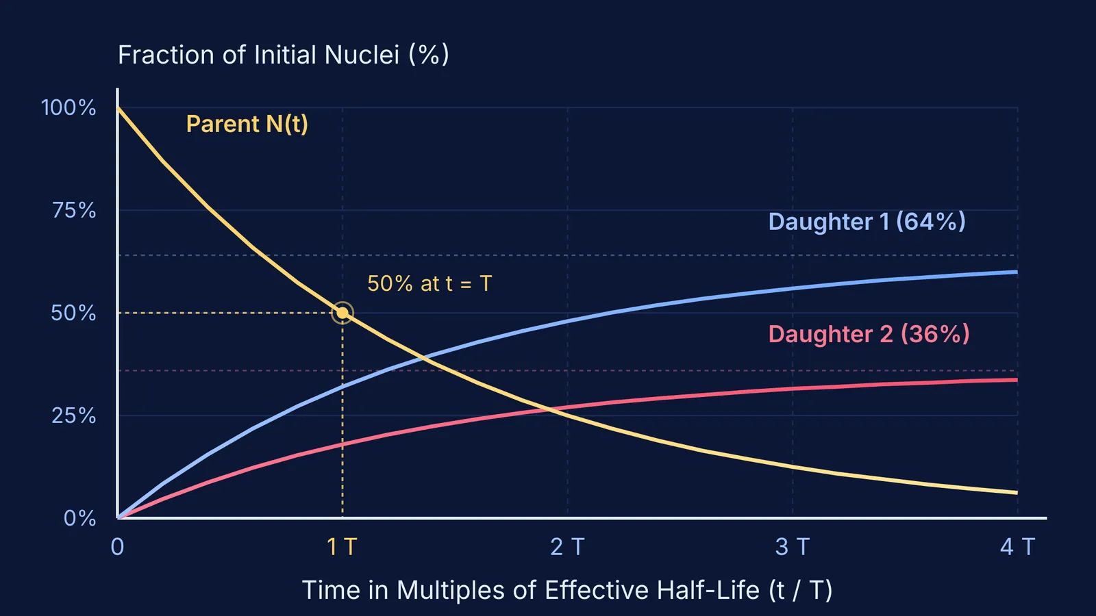 Radioactive decay curves for parent nucleus and two branched daughter products